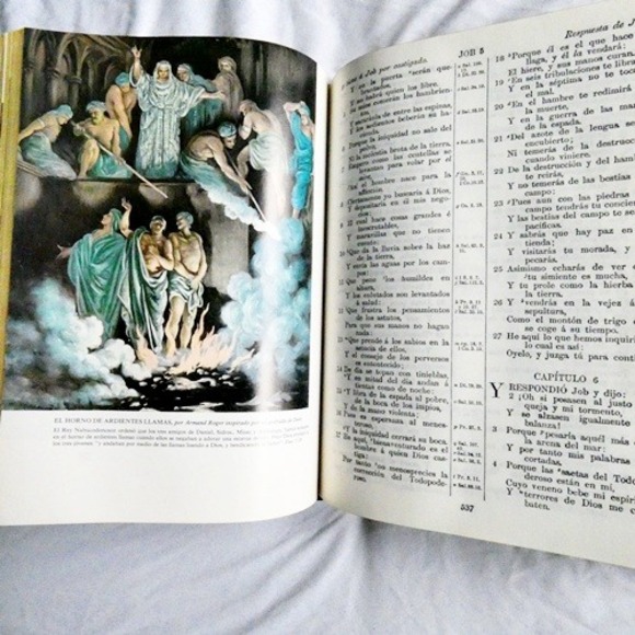 La Santa Biblia Antiguo Y Nuevo Testamento Collectors Edition Casiodoro De Reina - Picture 6 of 7